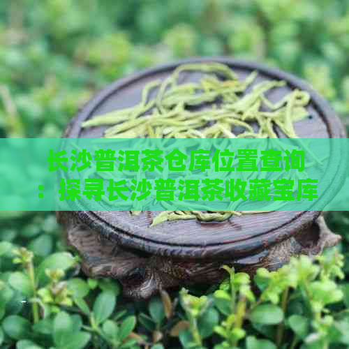 长沙普洱茶仓库位置查询：探寻长沙普洱茶收藏宝库