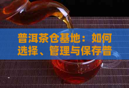 普洱茶仓基地：如何选择、管理与保存普洱茶，以及普洱茶的品质与鉴方法