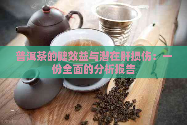 普洱茶的健效益与潜在肝损伤：一份全面的分析报告