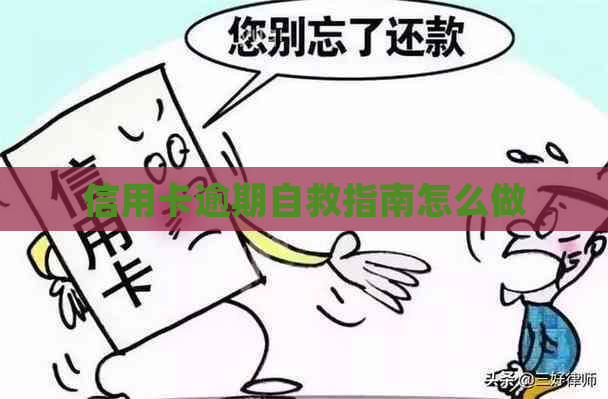 信用卡逾期自救指南怎么做