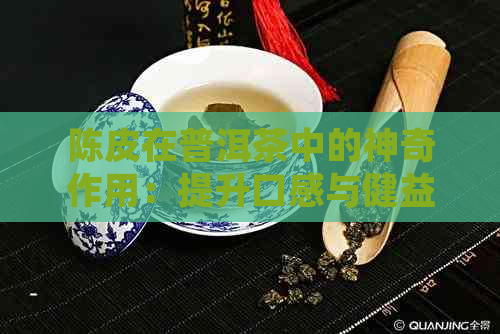 陈皮在普洱茶中的神奇作用：提升口感与健益处详解