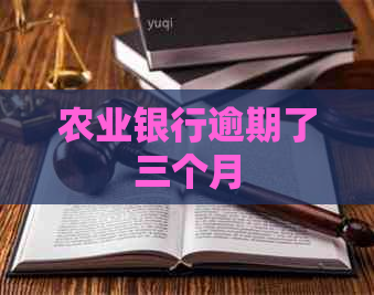 农业银行逾期了三个月