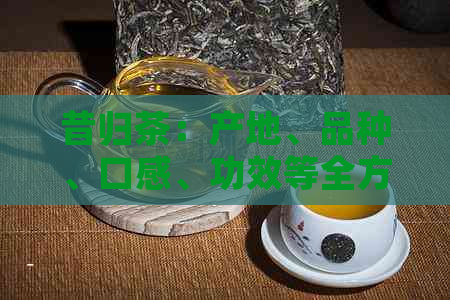 昔归茶：产地、品种、口感、功效等全方位解析，帮助您了解这款茶的全貌