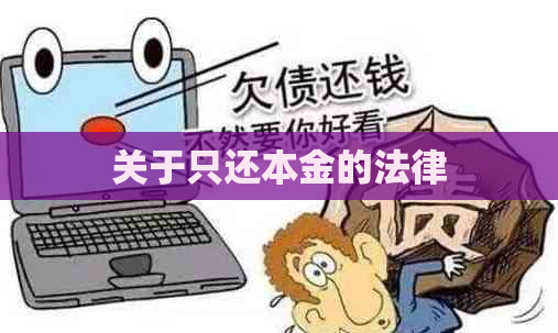 关于只还本金的法律