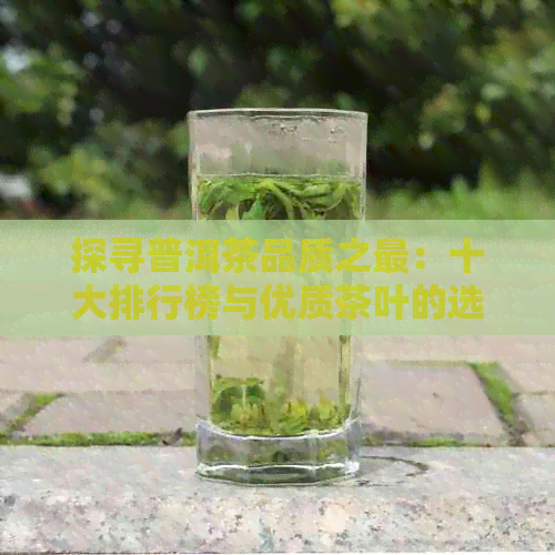 探寻普洱茶品质之最：十大排行榜与优质茶叶的选之道