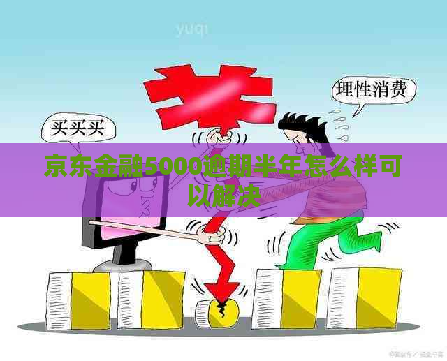 京东金融5000逾期半年怎么样可以解决