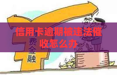 信用卡逾期被违法怎么办