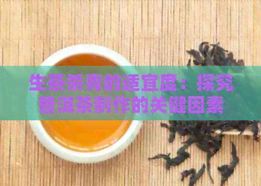 生茶杀青的适宜度：探究普洱茶制作的关键因素