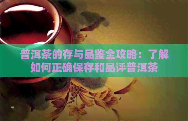 普洱茶的存与品鉴全攻略：了解如何正确保存和品评普洱茶