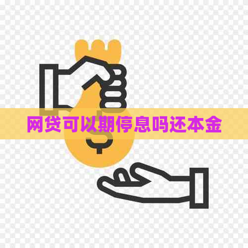 网贷可以期停息吗还本金