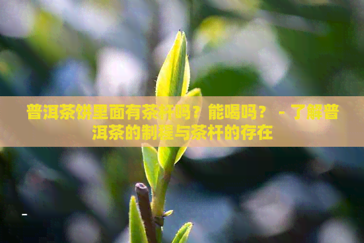 普洱茶饼里面有茶杆吗？能喝吗？ - 了解普洱茶的制程与茶杆的存在