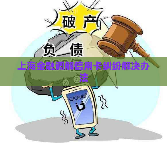 上海金融调解信用卡纠纷解决办法