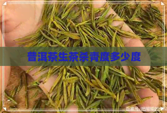 普洱茶生茶杀青度多少度