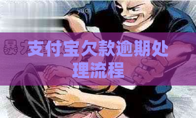 支付宝欠款逾期处理流程