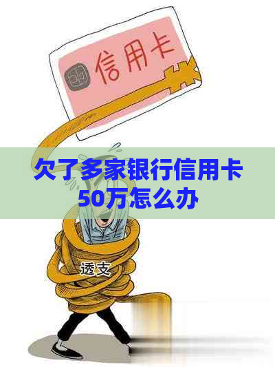 欠了多家银行信用卡50万怎么办