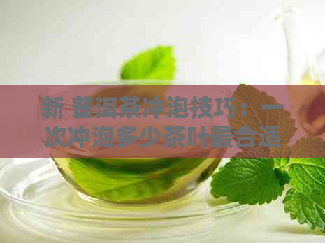 新 普洱茶冲泡技巧：一次冲泡多少茶叶最合适？