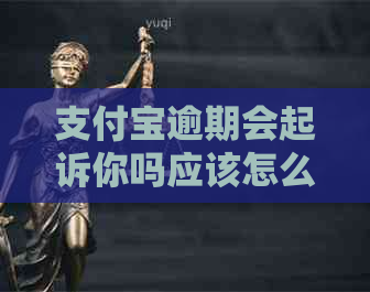 支付宝逾期会起诉你吗应该怎么办