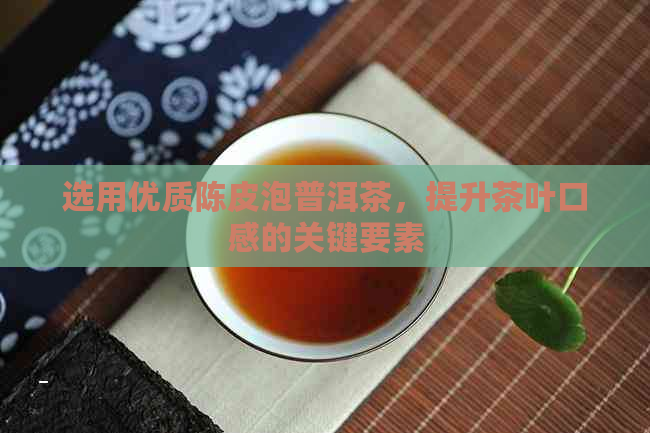 选用优质陈皮泡普洱茶，提升茶叶口感的关键要素