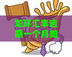 龙环汇丰逾期一个月如何处理