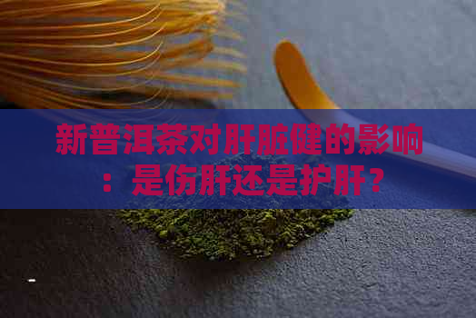 新普洱茶对肝脏健的影响：是伤肝还是护肝？