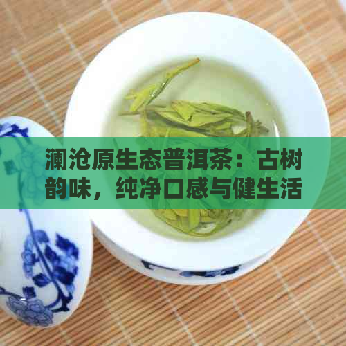 澜沧原生态普洱茶：古树韵味，纯净口感与健生活的完美融合