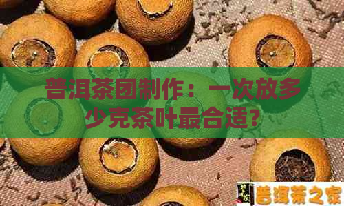 普洱茶团制作：一次放多少克茶叶最合适？