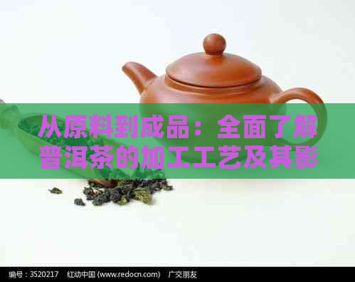 从原料到成品：全面了解普洱茶的加工工艺及其影响口感的因素