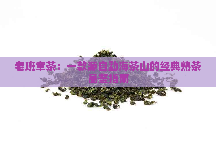 老班章茶：一款源自勐海茶山的经典熟茶品鉴指南