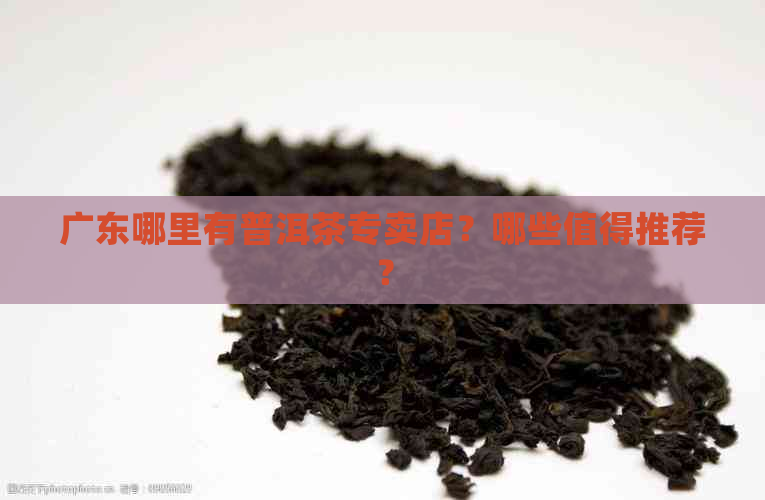 广东哪里有普洱茶专卖店？哪些值得推荐？