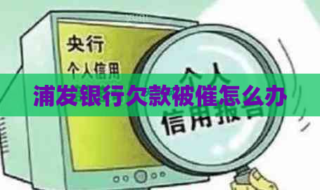 浦发银行欠款被催怎么办