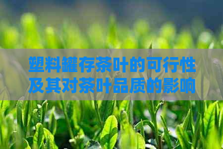 塑料罐存茶叶的可行性及其对茶叶品质的影响：一篇全面分析