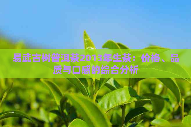 易武古树普洱茶2013年生茶：价格、品质与口感的综合分析