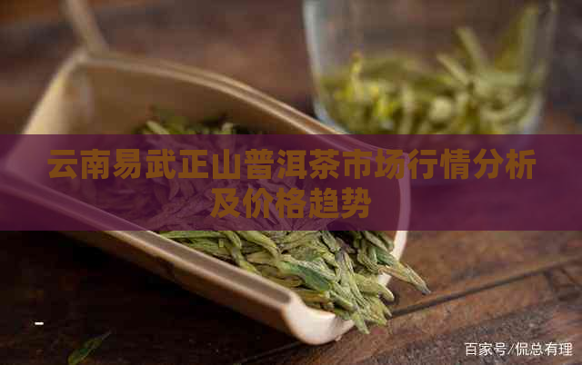 云南易武正山普洱茶市场行情分析及价格趋势