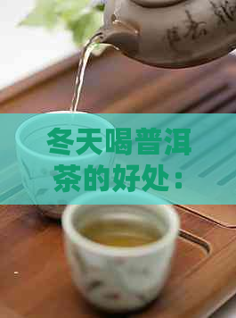 冬天喝普洱茶的好处：全面解析普洱茶在冬的功效与作用