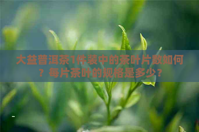 大益普洱茶1件装中的茶叶片数如何？每片茶叶的规格是多少？