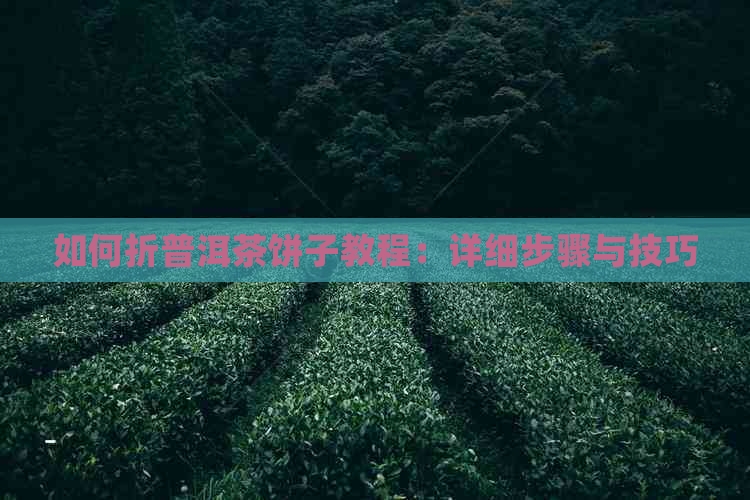 如何折普洱茶饼子教程：详细步骤与技巧