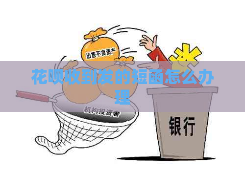 花呗收到发的短函怎么办理