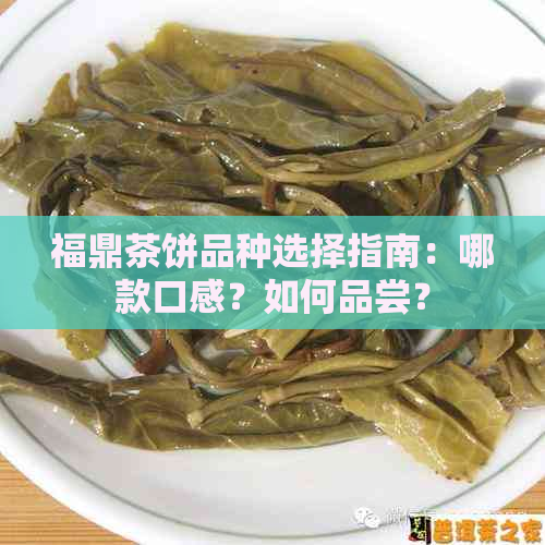 福鼎茶饼品种选择指南：哪款口感？如何品尝？