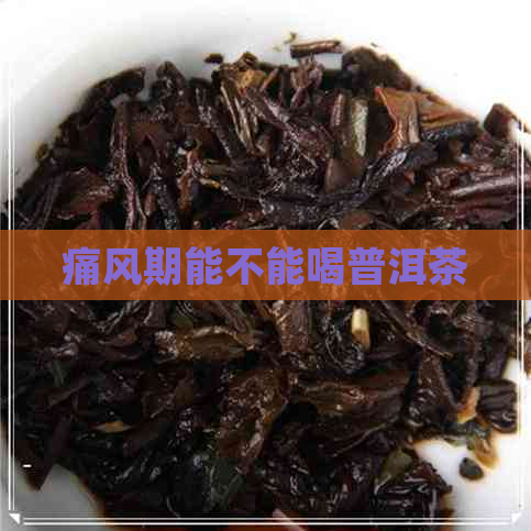 痛风期能不能喝普洱茶