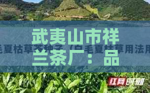 武夷山市祥兰茶厂：品质越，历悠久的正宗武夷岩茶生产商