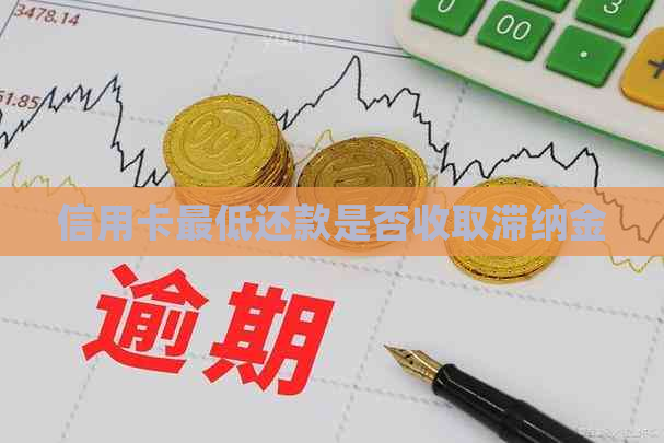 信用卡更低还款是否收取滞纳金