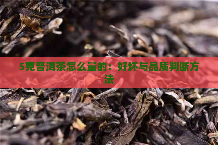 5克普洱茶怎么量的：好坏与品质判断方法