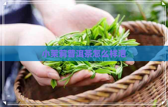 小茉莉普洱茶怎么样泡