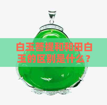 白玉菩提和和田白玉的区别是什么？请详细解释它们之间的差异。