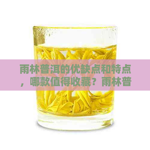 雨林普洱的优缺点和特点，哪款值得收藏？雨林普洱茶行情报价网