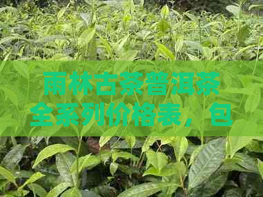 雨林古茶普洱茶全系列价格表，包括各类产品和年份的详细解析