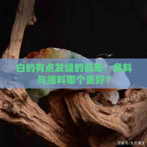 白的有点发绿的翡翠：危料与缅料哪个更好？