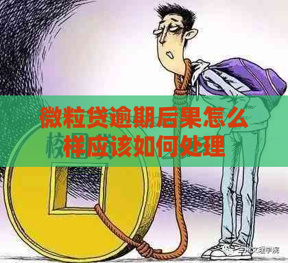 微立贷逾期后果怎么样应该如何处理