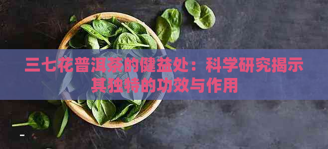 三七花普洱茶的健益处：科学研究揭示其独特的功效与作用