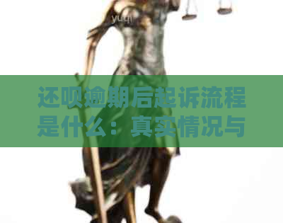 还钱逾期后起诉流程是什么：真实情况与后果分析